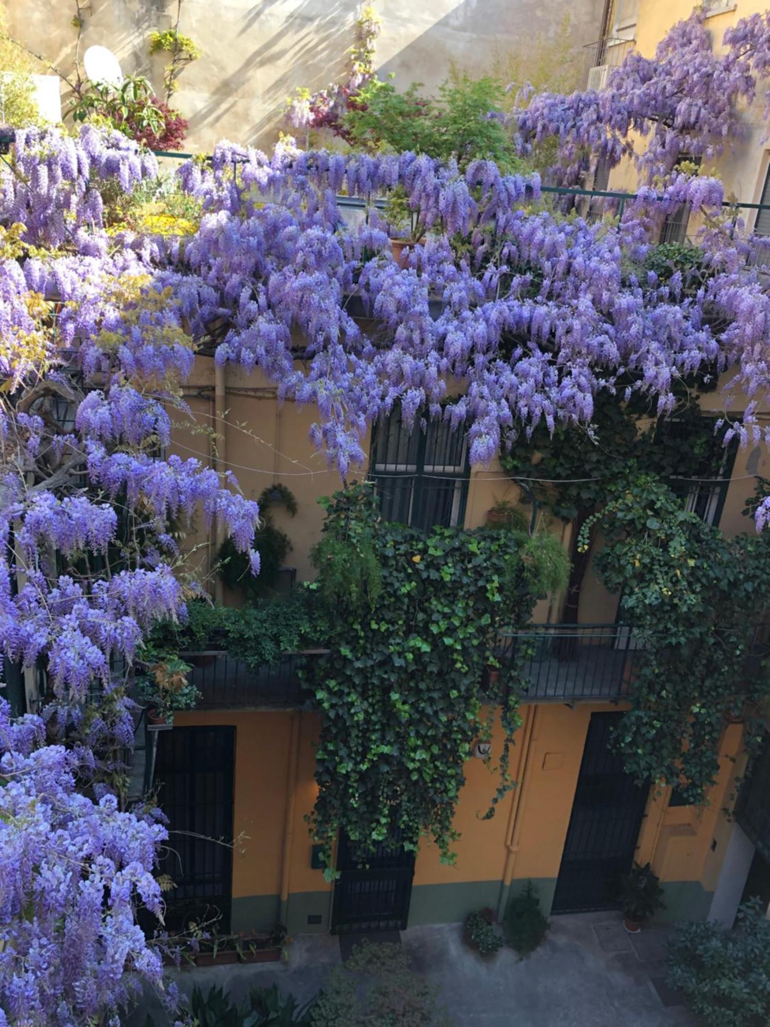 La Casa Degli Angeli Apartman Torino Kültér fotó