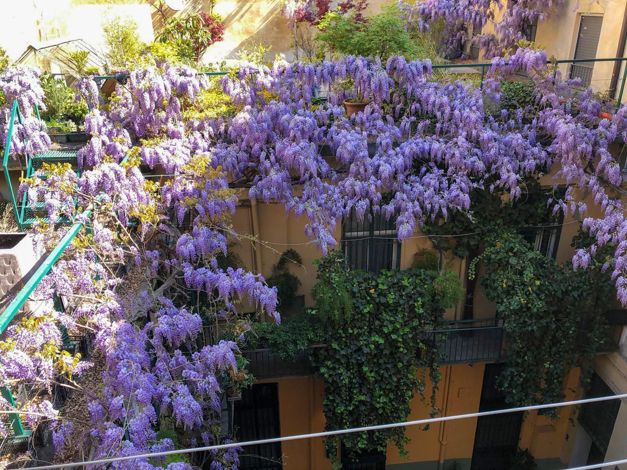 La Casa Degli Angeli Apartman Torino Kültér fotó